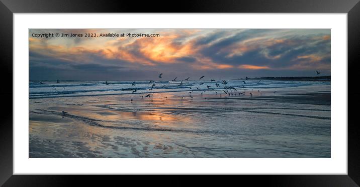 Seagulls at Sunrise - Panorama Framed Mounted Print by Jim Jones