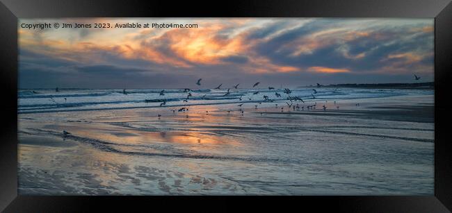 Seagulls at Sunrise - Panorama Framed Print by Jim Jones