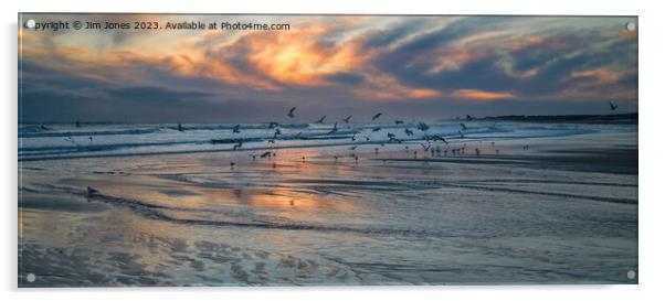 Seagulls at Sunrise - Panorama Acrylic by Jim Jones