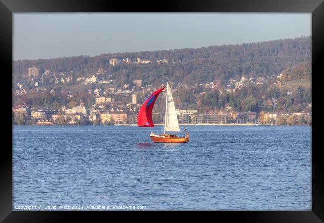 Sailing On Lake Zurich  Framed Print by David Pyatt