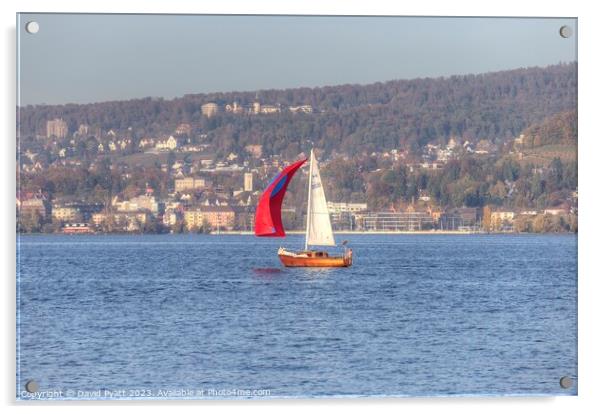 Sailing On Lake Zurich  Acrylic by David Pyatt