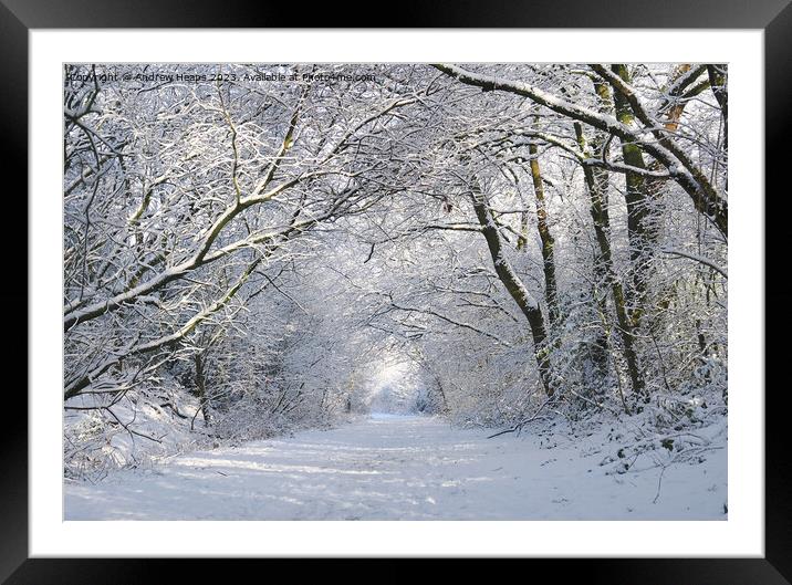 Enchanting Winter Wonderland Framed Mounted Print by Andrew Heaps