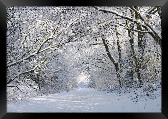 Enchanting Winter Wonderland Framed Print by Andrew Heaps