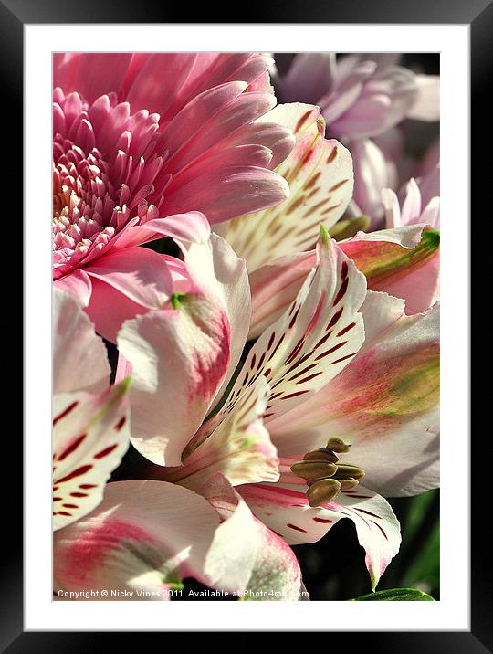 Birthday Bouquet Framed Mounted Print by Nicky Vines