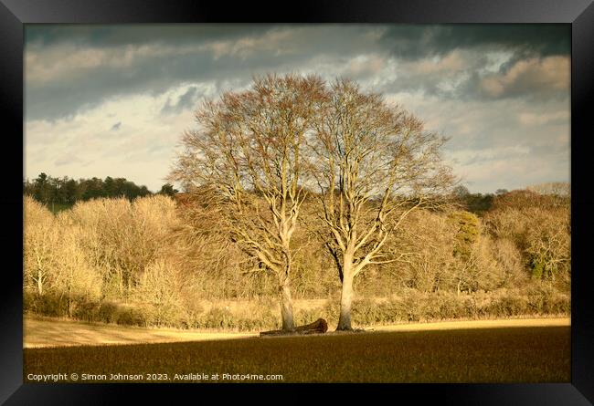 Cotswolds Trees  Framed Print by Simon Johnson