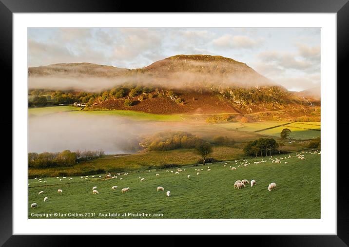 Elan Valley Mist Framed Mounted Print by Ian Collins