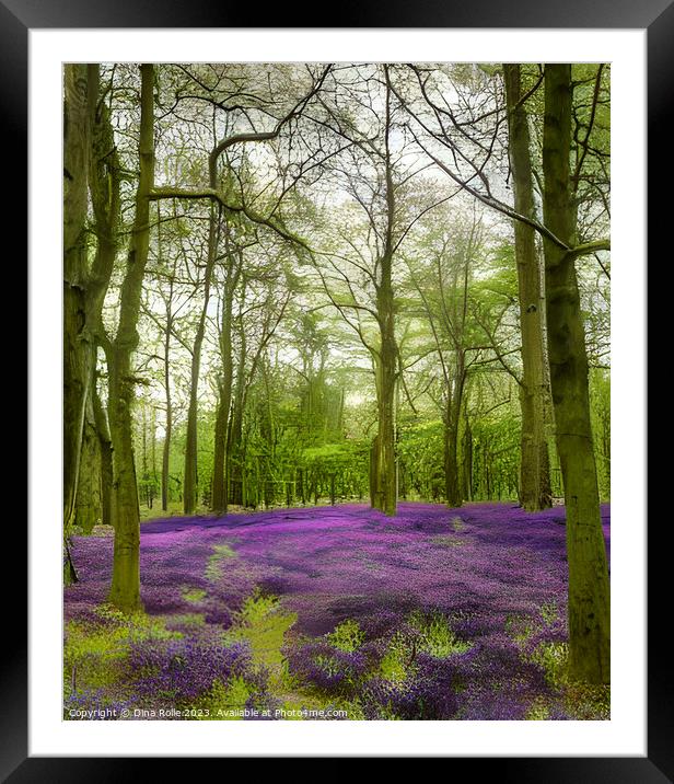 Dockey Wood Forest Ashridge Estate Graphic Framed Mounted Print by Dina Rolle
