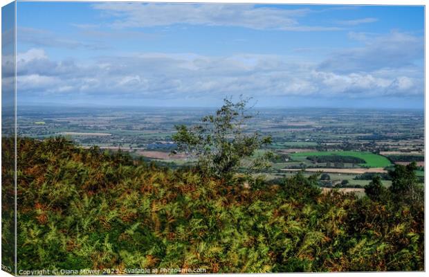 The Wrekin View Shropshire Canvas Print by Diana Mower