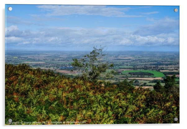 The Wrekin View Shropshire Acrylic by Diana Mower