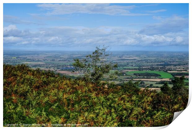 The Wrekin View Shropshire Print by Diana Mower
