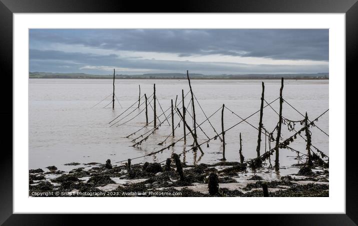 Salmon stake nets at low tide on the River Cree estuary at Carsluith, Scotland Framed Mounted Print by SnapT Photography