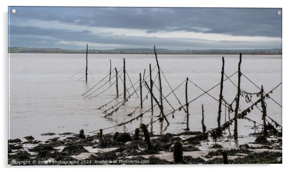 Salmon stake nets at low tide on the River Cree estuary at Carsluith, Scotland Acrylic by SnapT Photography