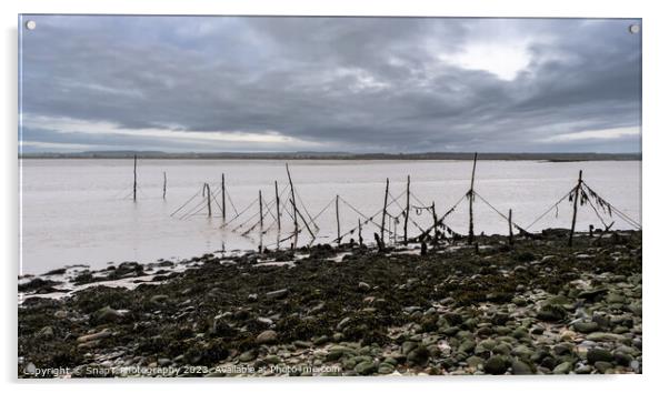 Salmon stake nets at low tide on the River Cree estuary at Carsluith, Scotland Acrylic by SnapT Photography