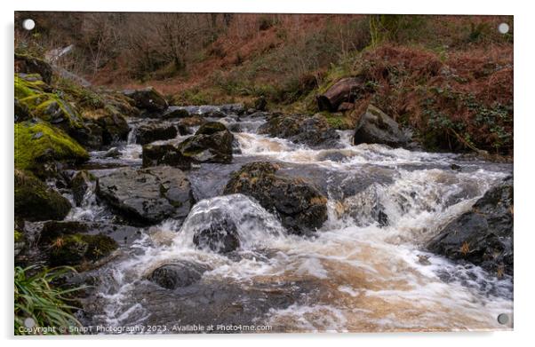 Winter runoff and fast turbulent water on a highland stream or burn in Scotland Acrylic by SnapT Photography