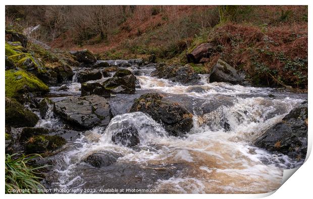 Winter runoff and fast turbulent water on a highland stream or burn in Scotland Print by SnapT Photography
