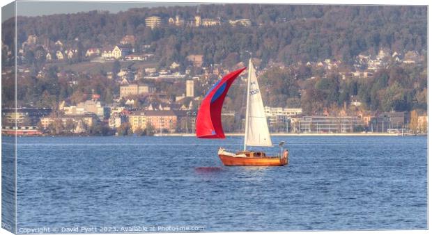 Sailing On Lake Zurich Panorama Canvas Print by David Pyatt