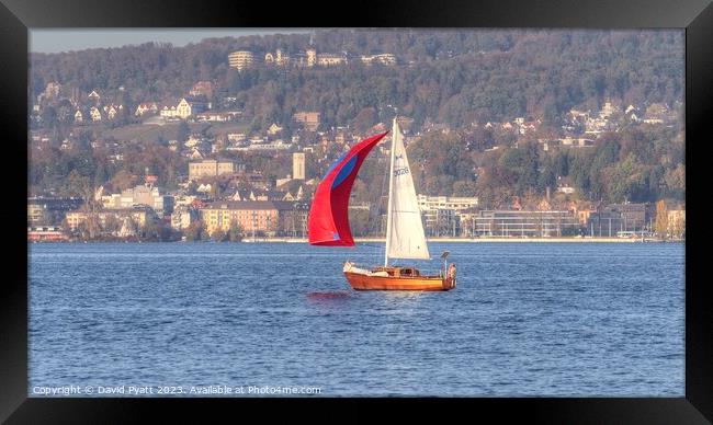 Sailing On Lake Zurich Panorama Framed Print by David Pyatt