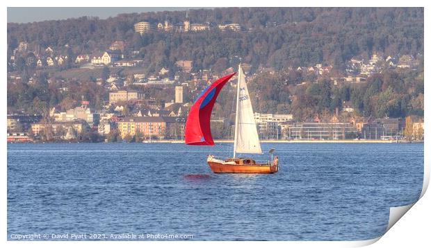 Sailing On Lake Zurich Panorama Print by David Pyatt