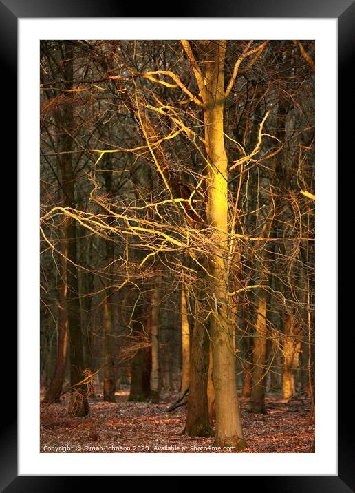 woodland architecture Framed Mounted Print by Simon Johnson