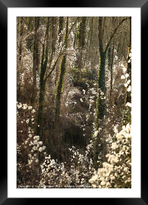 'Old Mans Beard' Framed Mounted Print by Simon Johnson