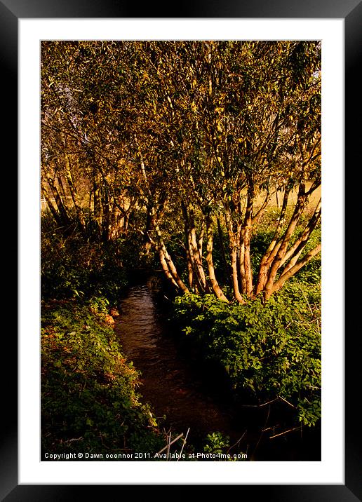 River Quaggy Framed Mounted Print by Dawn O'Connor