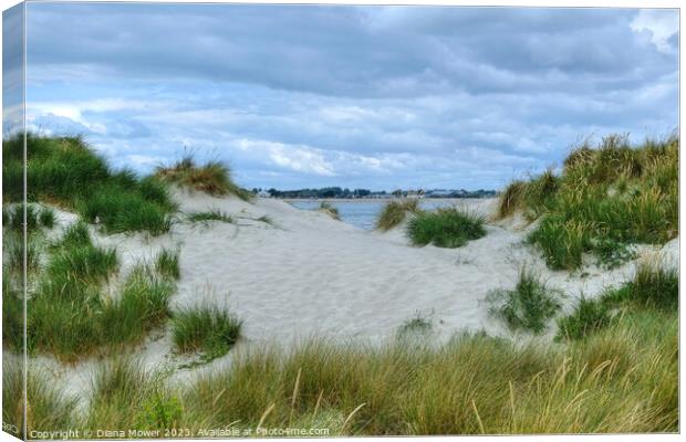 West Wittering Sand Dunes Sussex  Canvas Print by Diana Mower