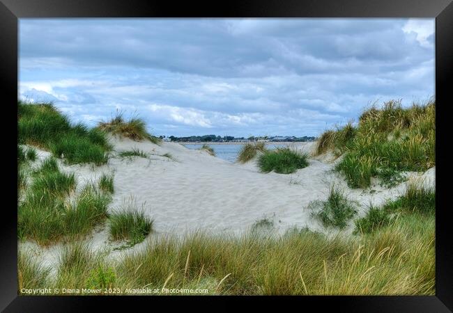 West Wittering Sand Dunes Sussex  Framed Print by Diana Mower