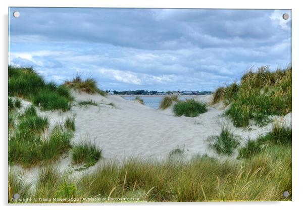 West Wittering Sand Dunes Sussex  Acrylic by Diana Mower
