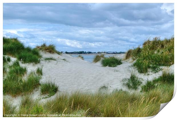 West Wittering Sand Dunes Sussex  Print by Diana Mower