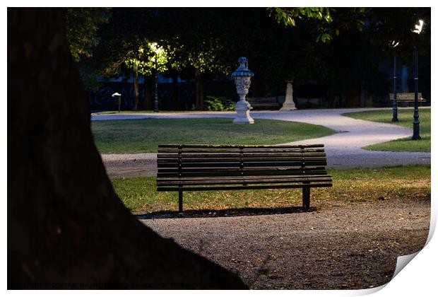 Giardino Salvi Garden with Park Bench in Vicenza Print by Dietmar Rauscher