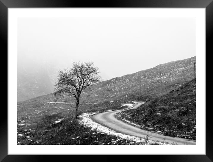 Glen Etive Winter Tree Framed Mounted Print by Anthony McGeever