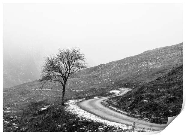 Glen Etive Winter Tree Print by Anthony McGeever