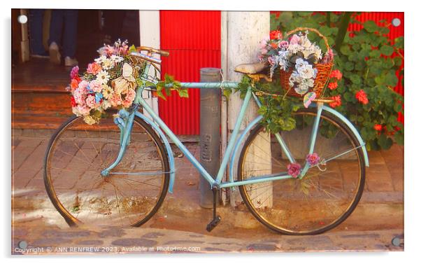 Floral bicycle Acrylic by ANN RENFREW
