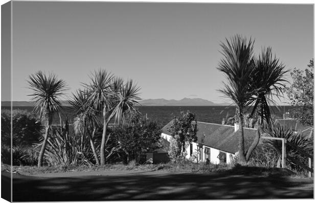Dunure palm trees and Arran`s mountains Canvas Print by Allan Durward Photography