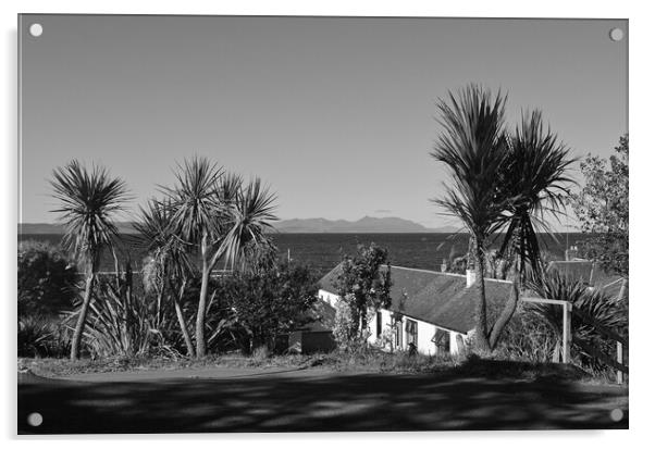 Dunure palm trees and Arran`s mountains Acrylic by Allan Durward Photography