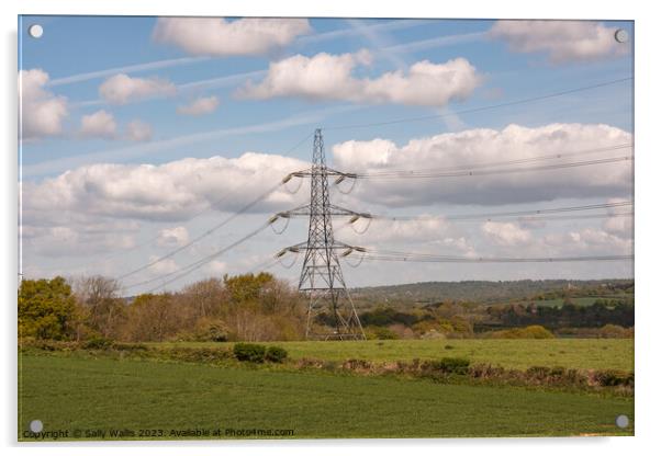 Pylon in Sussex countryside Acrylic by Sally Wallis