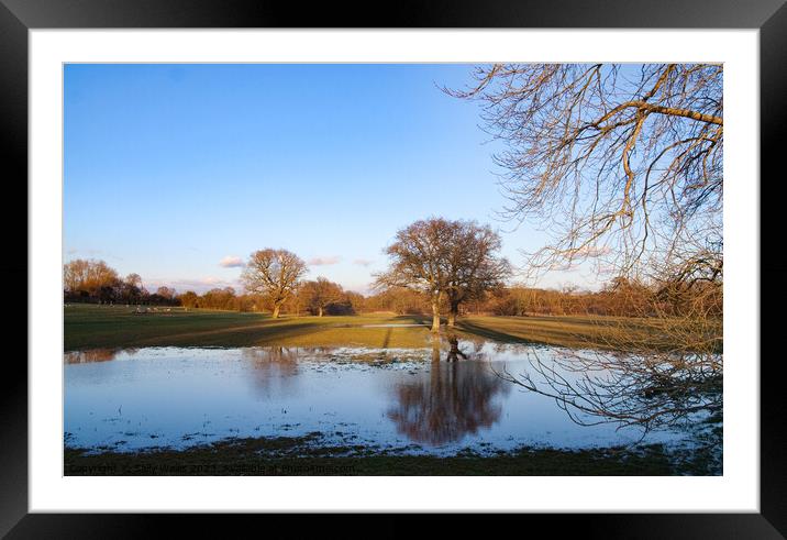 Oaks reflected in flooded fields Framed Mounted Print by Sally Wallis