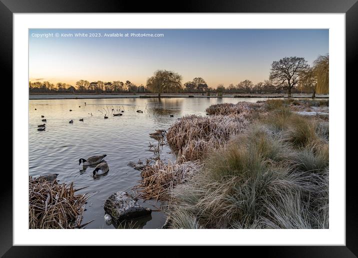 Cold January morning at Bushy Park  Framed Mounted Print by Kevin White