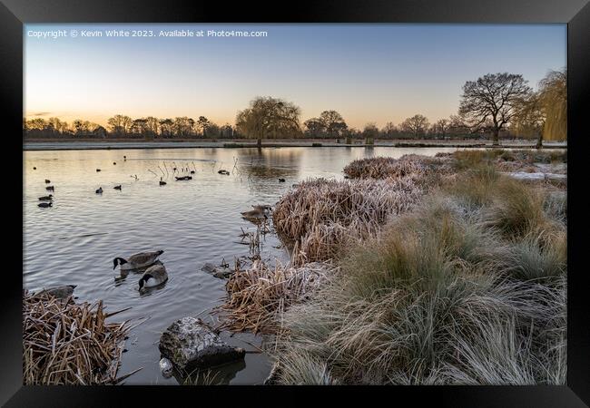 Cold January morning at Bushy Park  Framed Print by Kevin White
