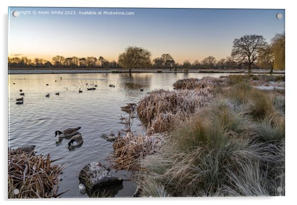 Cold January morning at Bushy Park  Acrylic by Kevin White