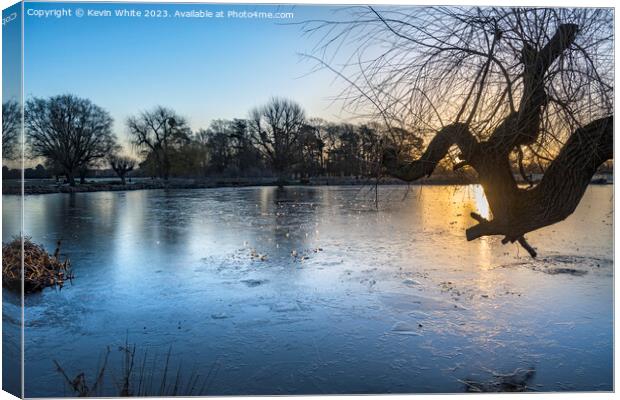 jewells of morning ice on pond Canvas Print by Kevin White