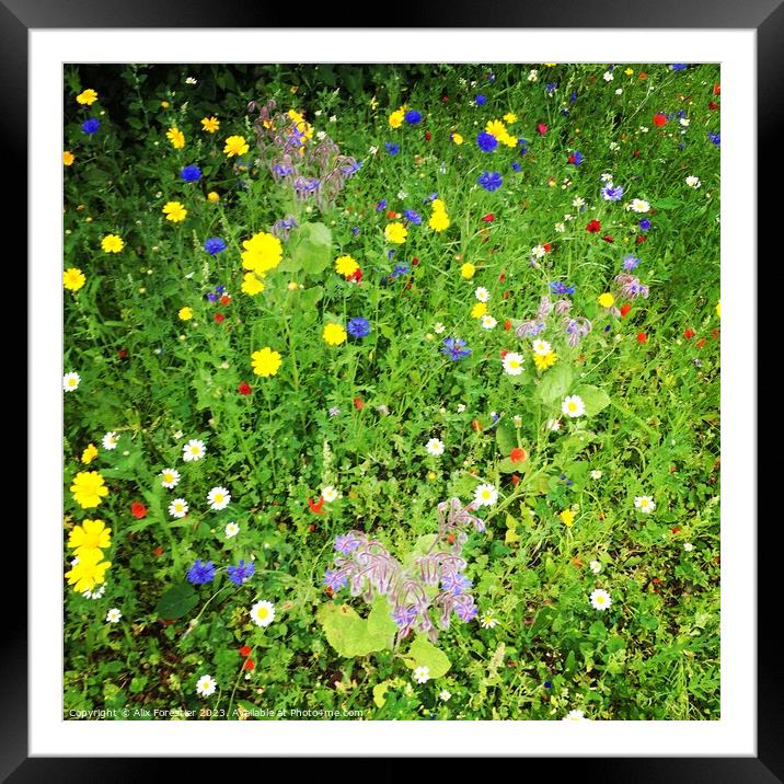 Wild Flowers Framed Mounted Print by Alix Forestier