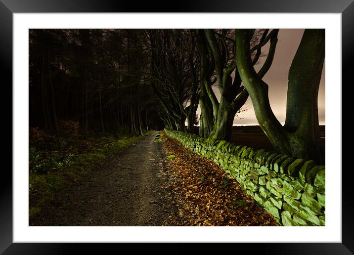 Tree Lined Path Framed Mounted Print by Tim Gamble