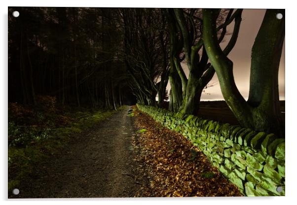 Tree Lined Path Acrylic by Tim Gamble