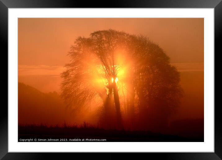 Tree silhouette at sunrise Framed Mounted Print by Simon Johnson