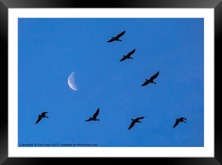 Fly me to the Moon Framed Mounted Print by Set Up, Shoots and Leaves