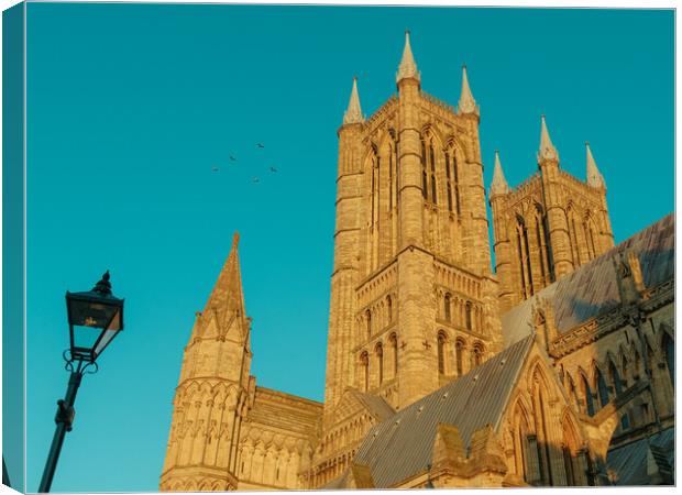 Lincoln Cathedral Canvas Print by Andrew Scott