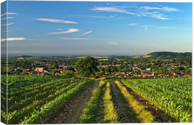 View over Chard, Somerset  Canvas Print by Darren Galpin
