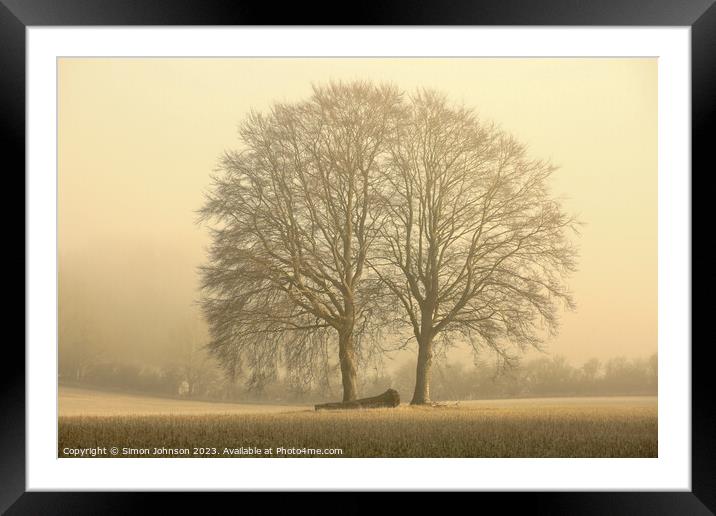 Two trees Framed Mounted Print by Simon Johnson