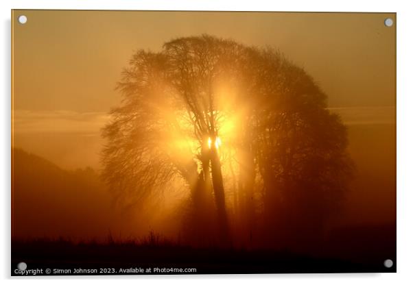 Cotswold Sunrise  Acrylic by Simon Johnson